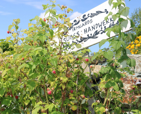 119419429_3199122910182947_5209051874508888623_n