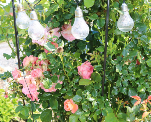 119463694_3199123000182938_2899537313713399036_n