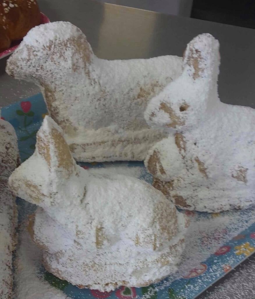 161348702_3716505158444717_7656362517169768007_n