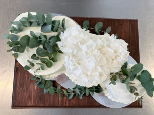 366970504_764316649036890_855431335386286255_n