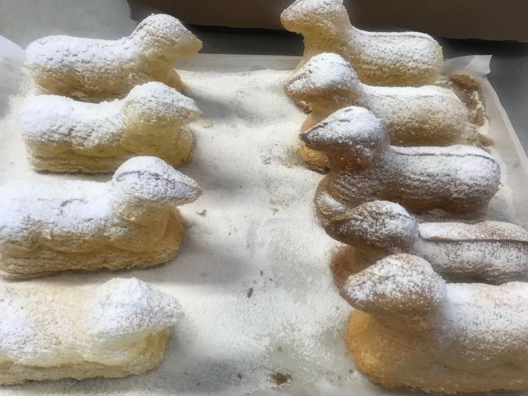 432303088_915456997256187_814509915354497811_n